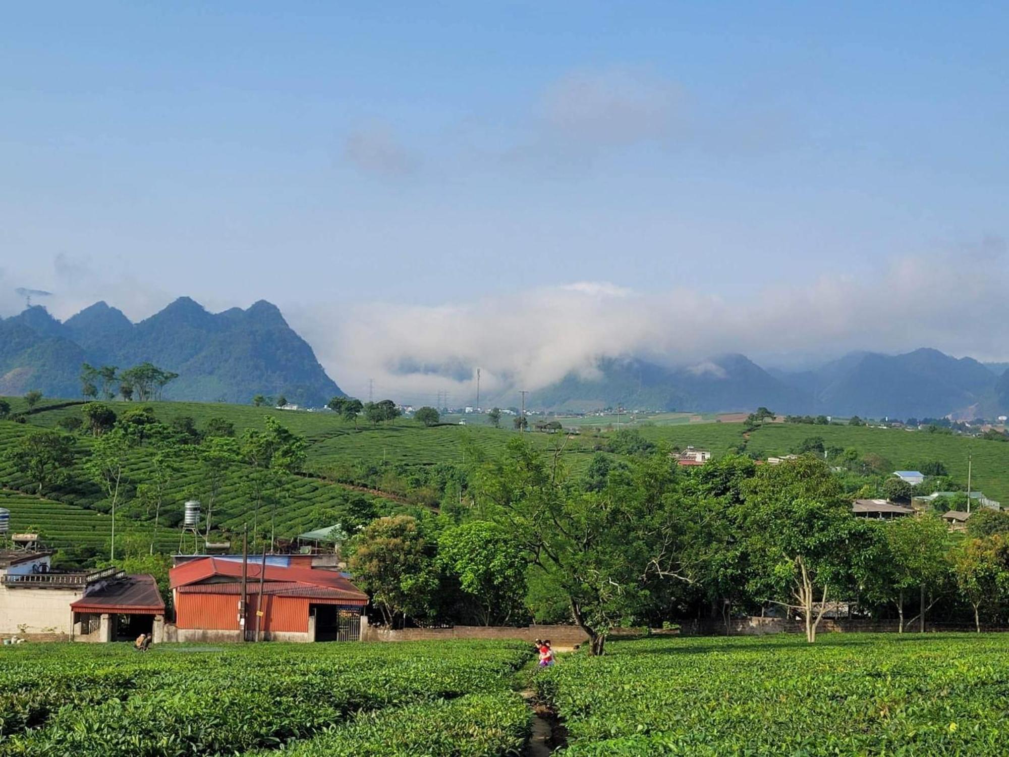 Mum Homestay Moc Chau Eksteriør billede