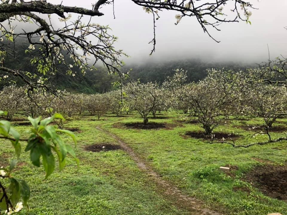 Mum Homestay Moc Chau Eksteriør billede